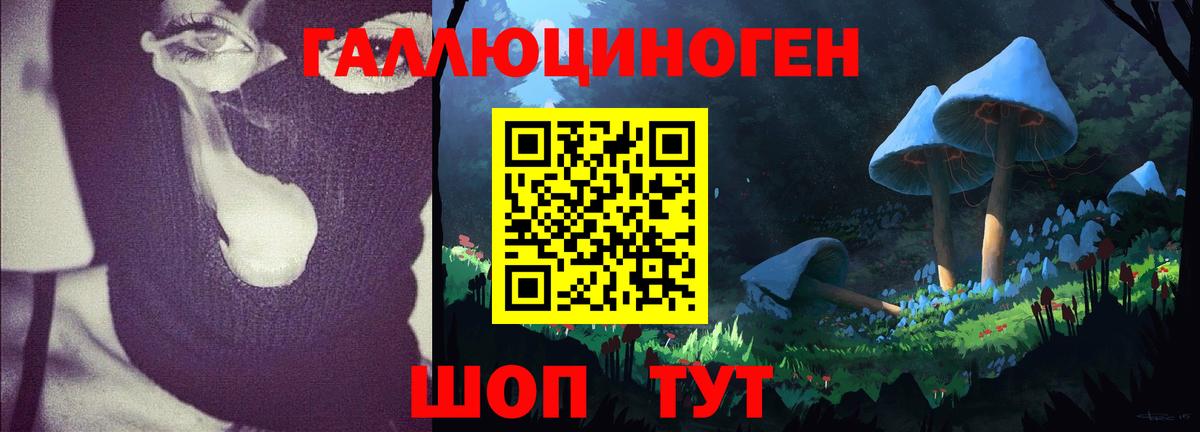 Губкинский  Галлюциногенные грибы мицелий  Псилоцибиновые грибы MAGIC MUSHROOMS  Вход с VPN 
