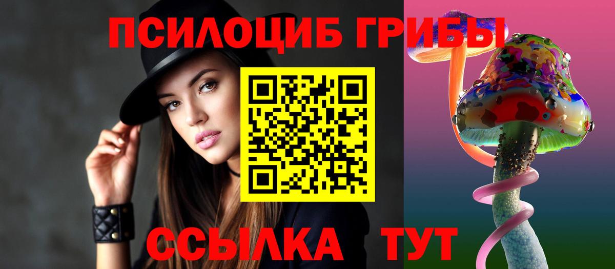 Псилоцибиновые грибы Psilocybe Губкинский
